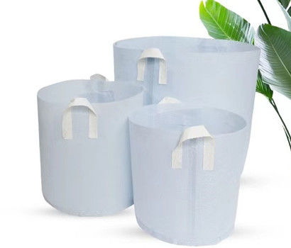 L'usine produit la beauté agricole en gros plantant le sac le sac de culture la protection de l'environnement que dégrade