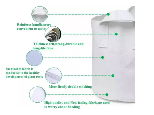L'usine produit la beauté agricole en gros plantant le sac le sac de culture la protection de l'environnement que dégrade