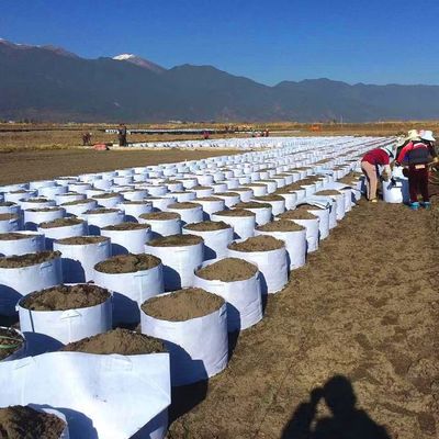 Adaptez chaud aux besoins du client en vendant non le sac biodégradable d'usine de textile tissé l'arbre que respirable de flet élèvent le grand sac de pépinière de sac avec la poignée